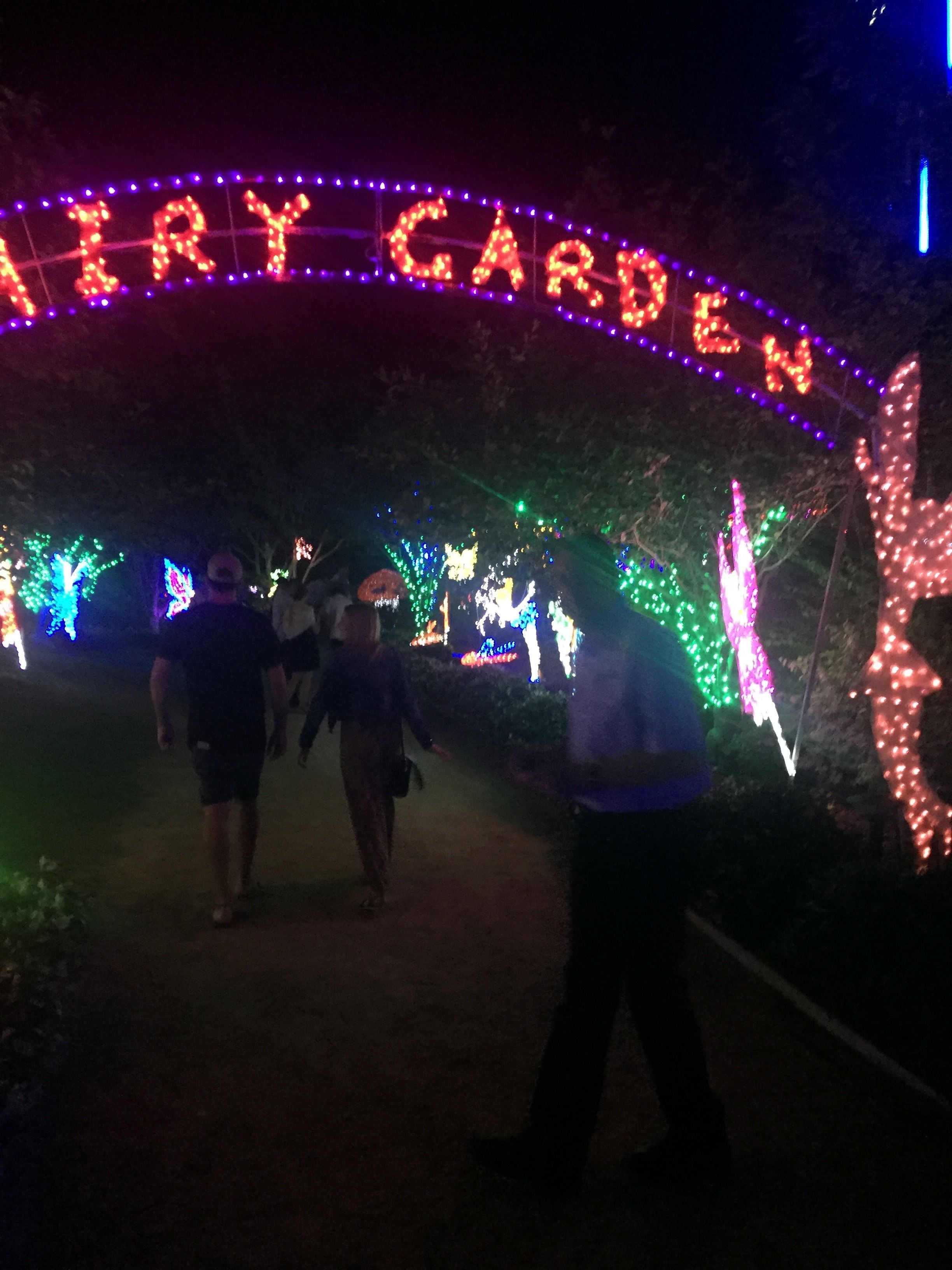 Hunter Valley Christmas Lights Spectacular Image -5b3abbe0b97ce